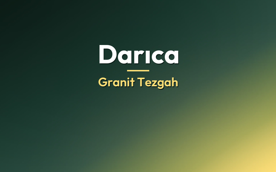 Darıca Granit Tezgah